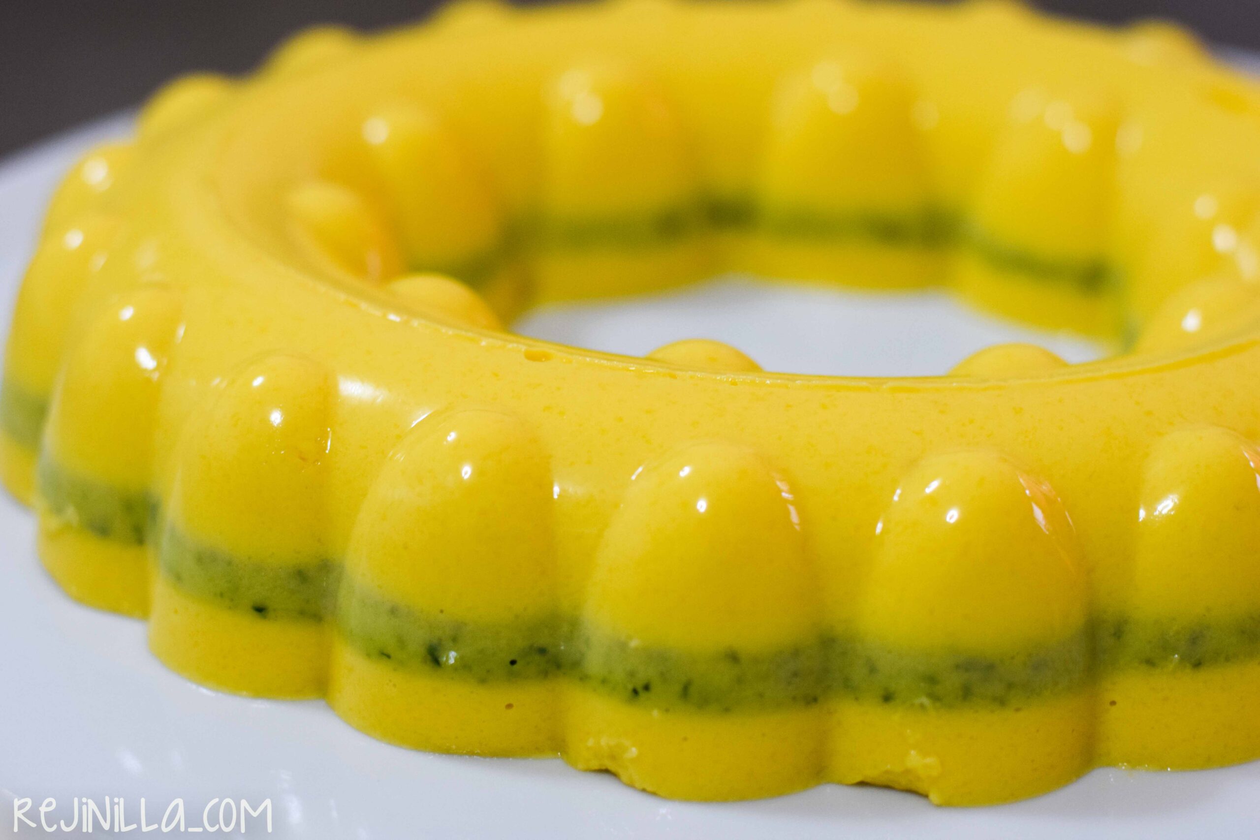 gelatina mango albahaca-10