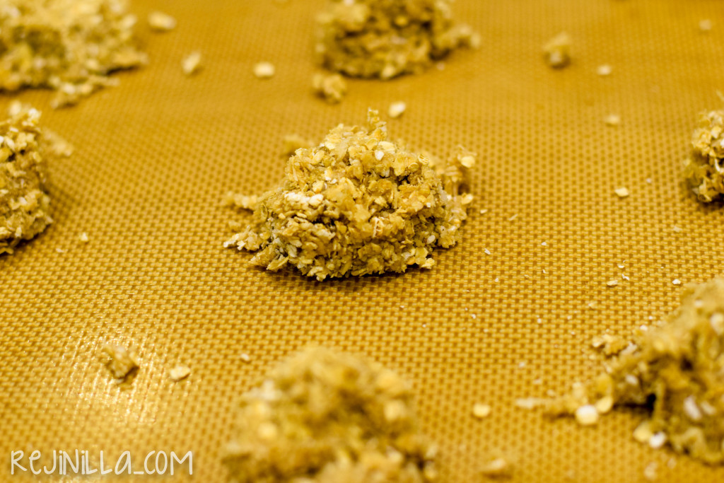 coco avena cocadas-6